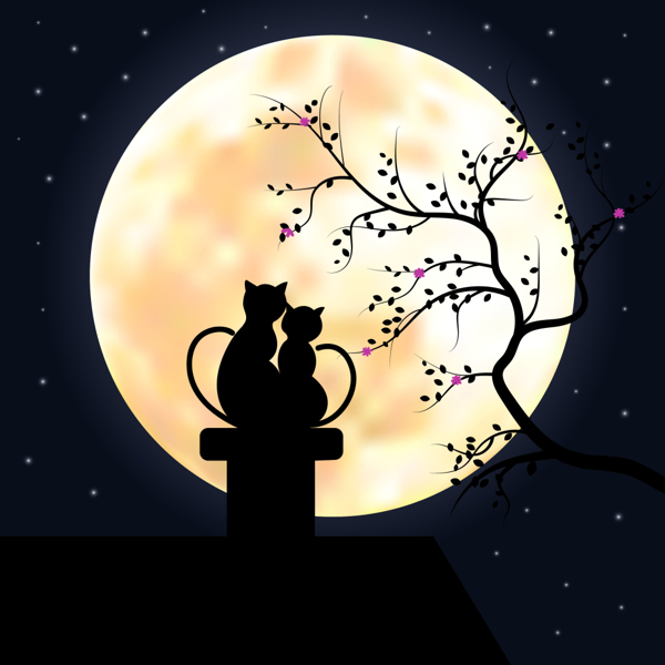 月亮下相依相唯的情侣小猫插画