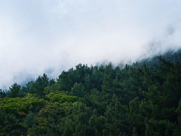 云烟绕山林