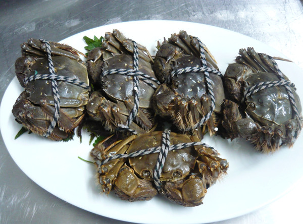 大閘蟹圖片