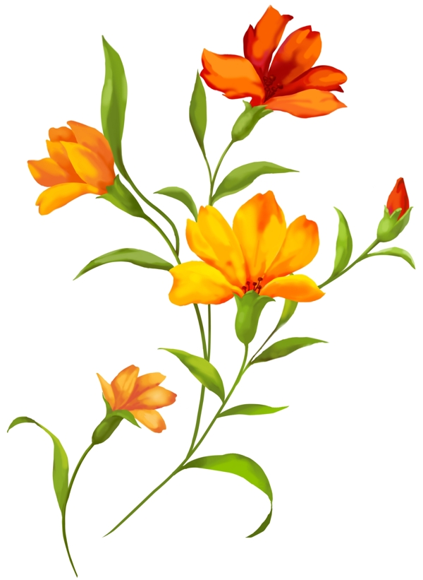 時尚花朵14