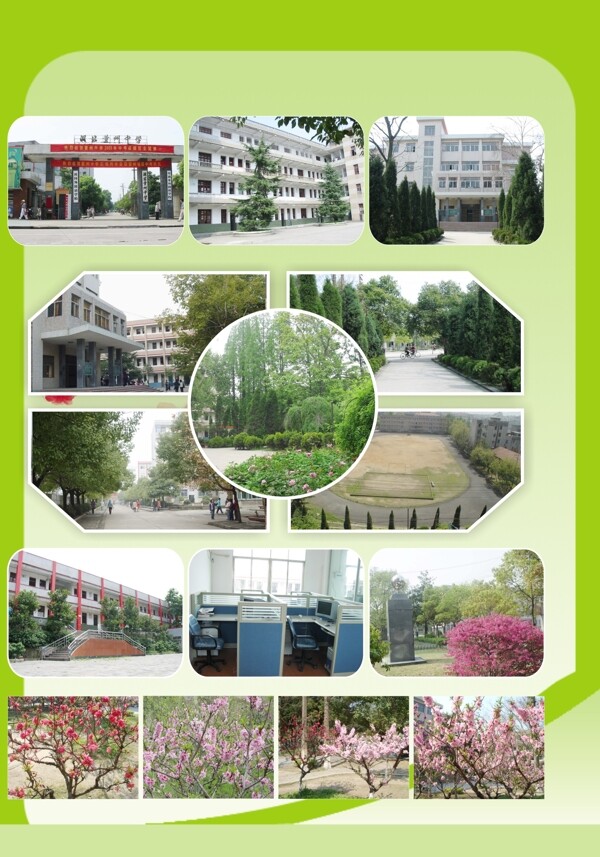 15張拼圖模板圖片
