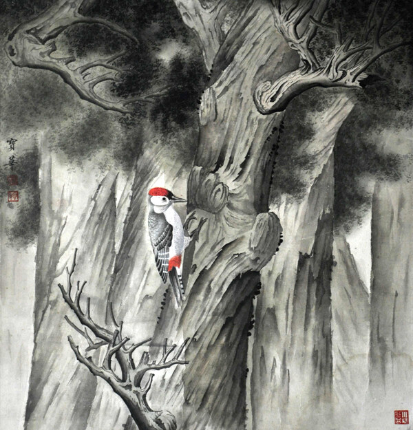 趙寶華樹鳥圖