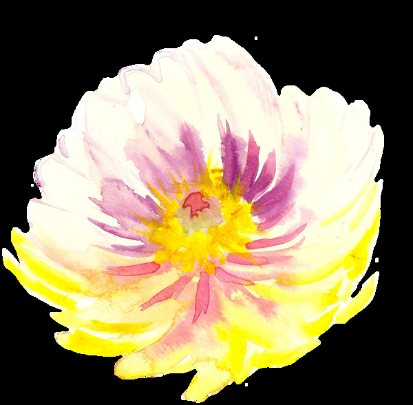 多彩精致花卉卡通透明素材