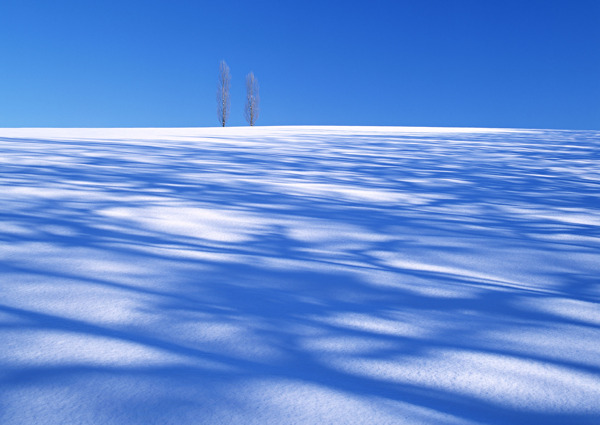 白色雪景摄影