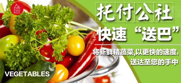 蔬菜海报蔬菜海报