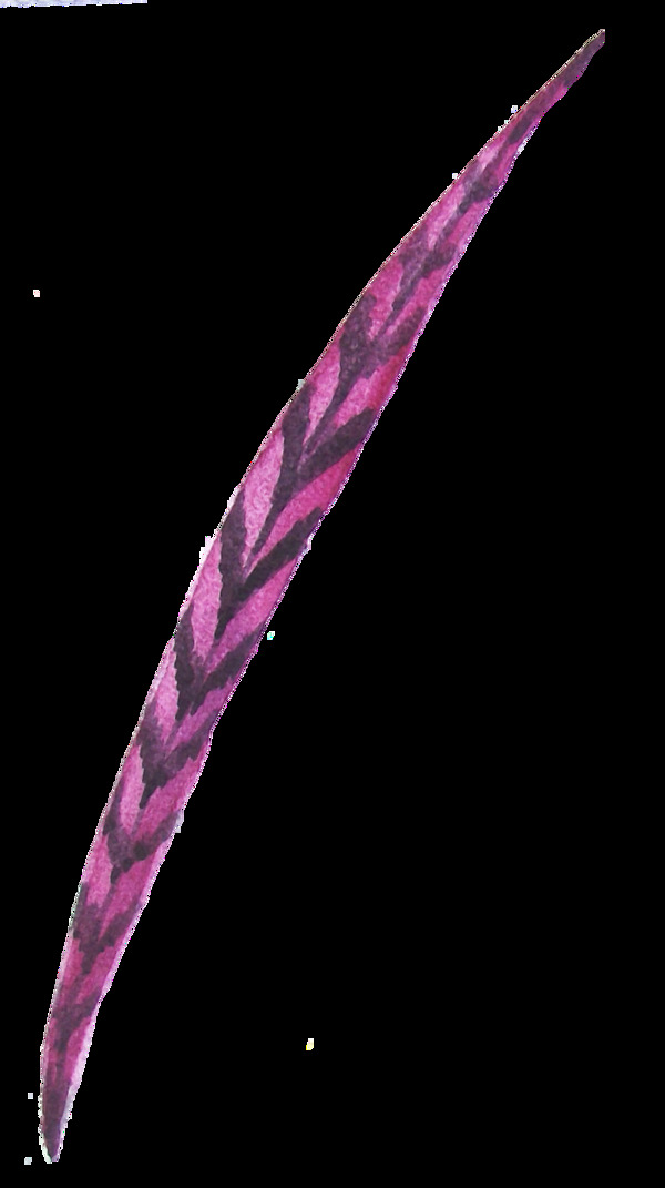 紫色羽毛png透明素材