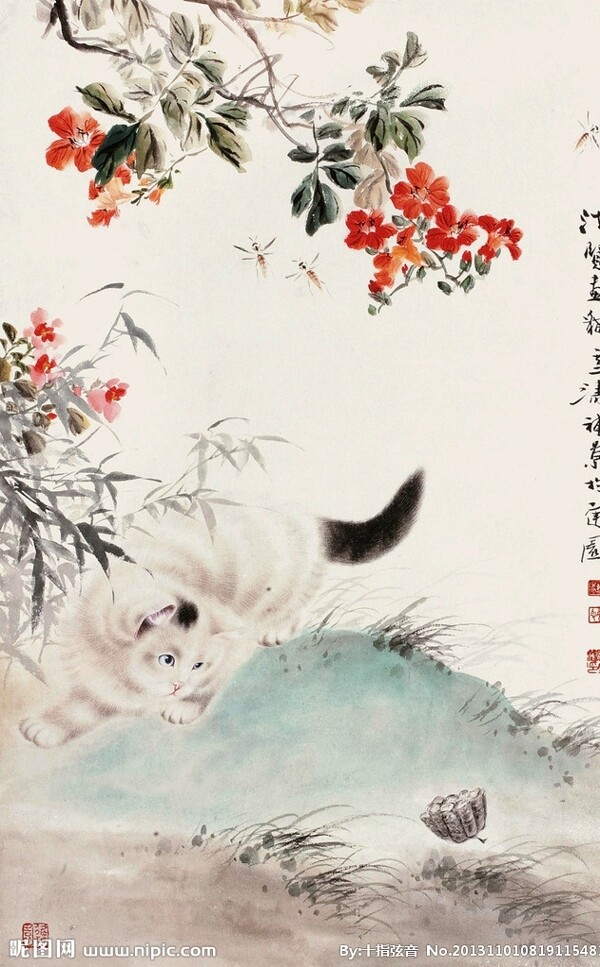 猫戏莲蓬图片