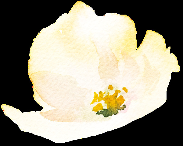 手绘半透明花朵PNG透明素材