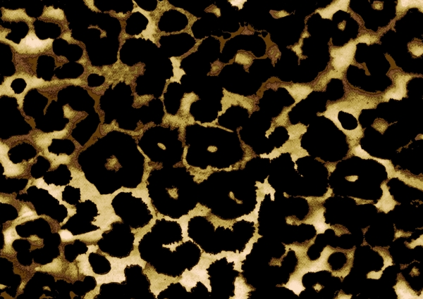 豹纹印花图片