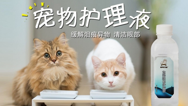 宠物猫护理液促销海报