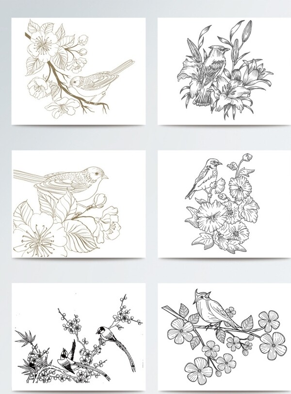 手绘线性桃花与鸟插画