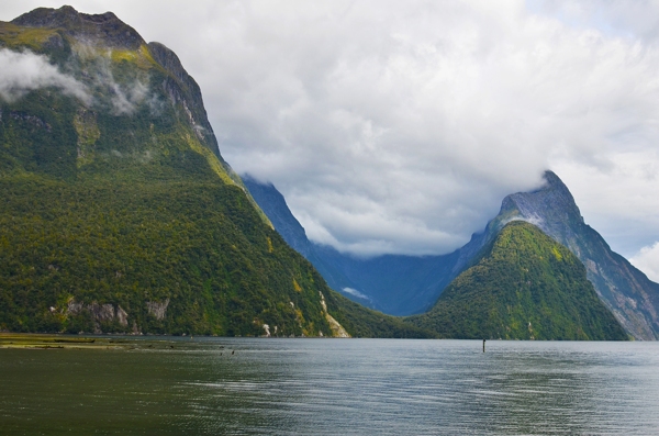 新西兰米尔福德峡湾风景