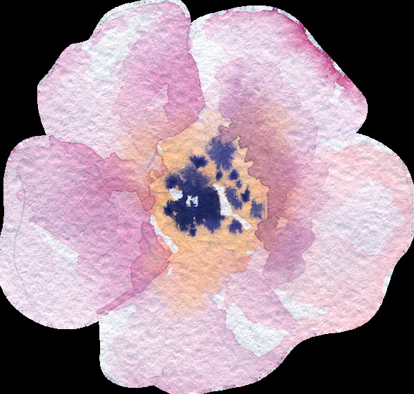 绘画粉色花卉透明素材