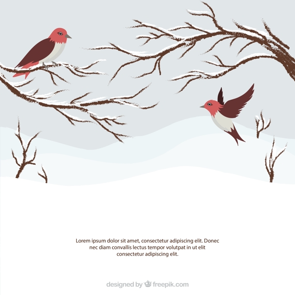 彩绘冬季树枝和鸟图片