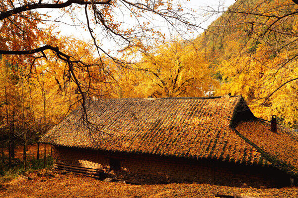 秋天小屋风景图片