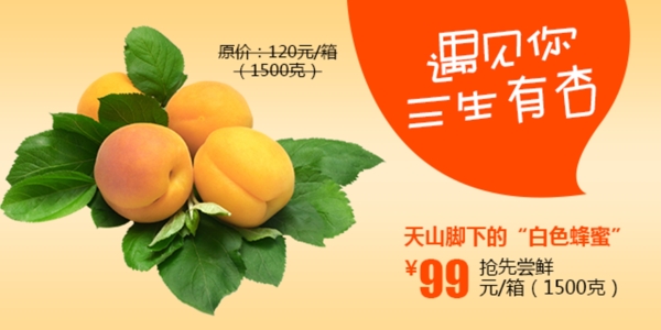 小白杏水果海报