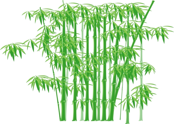 竹子分层图片