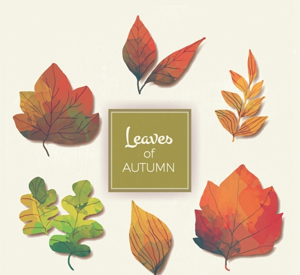 彩绘秋季树叶矢量图片