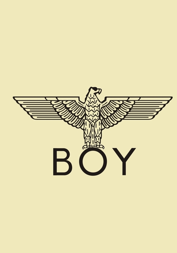 boy鹰