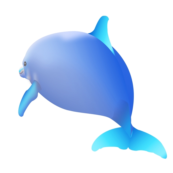 蓝色观赏海豚