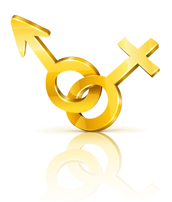 三维的男性和女性的金钥匙符号矢量