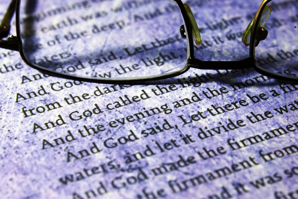 阅读圣本的眼镜