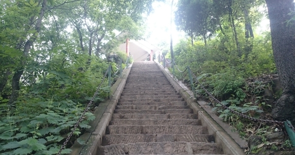 登山台阶图片