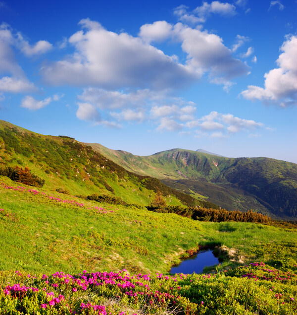 美丽山峰草地风景图片