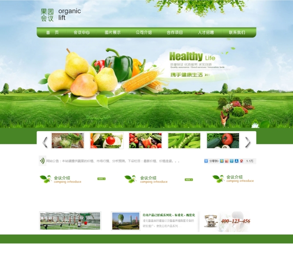 水果蔬菜网页界面
