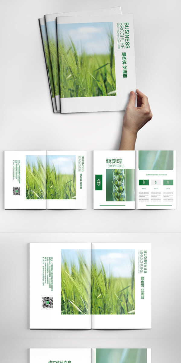 绿色农业产品画册PSD模板