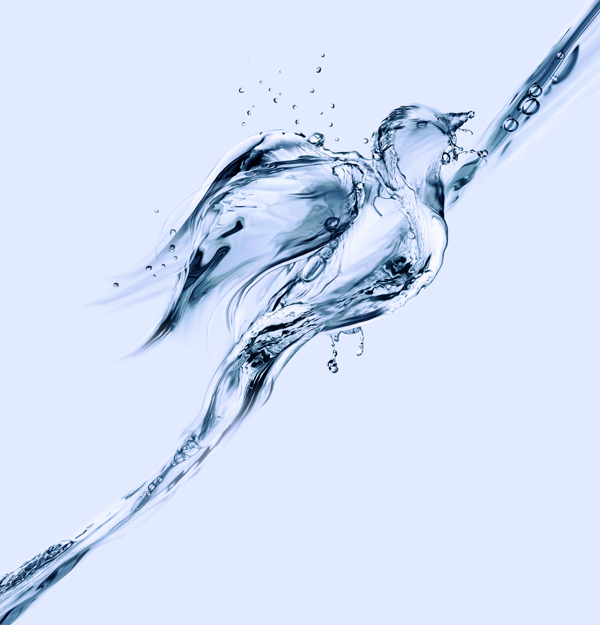 动感水花水滴水面的小鸟图片