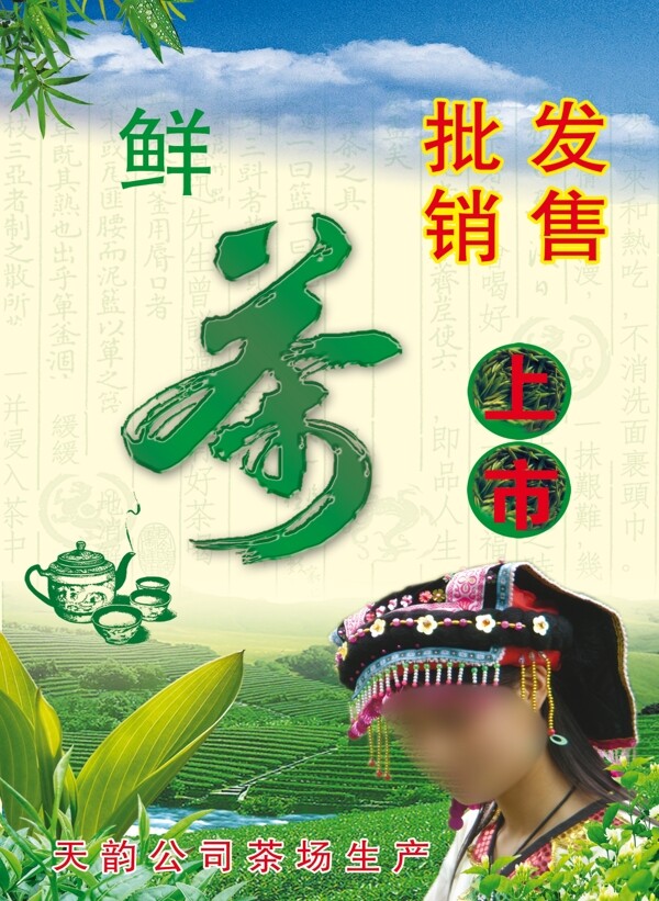 天韵茶场图片