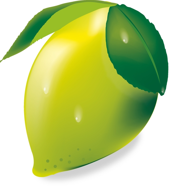 柿子柠檬水果矢量图
