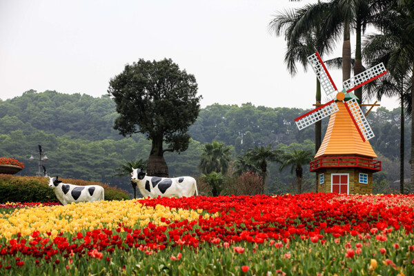 云台花园图片