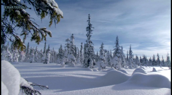 雪原景观高清视频素材