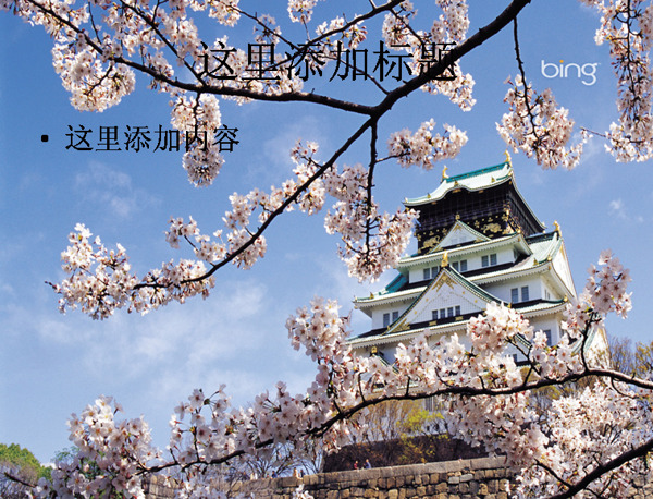 日本风光风景摄影Bing主题宽屏