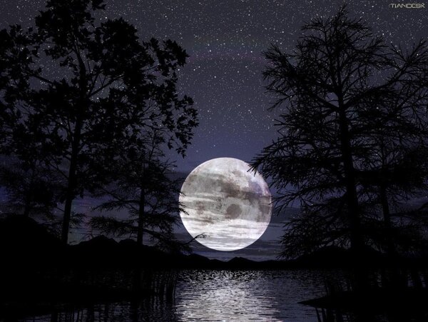 景色美景夜空夜景繁星月亮