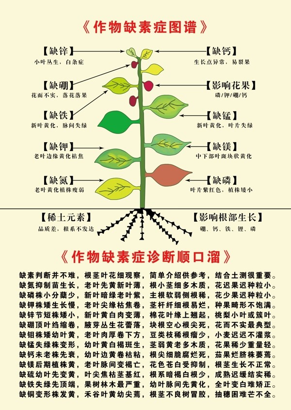 作物缺素症图谱