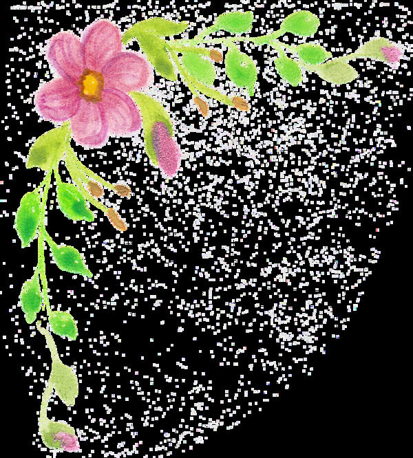 小清新手绘花朵透明素材