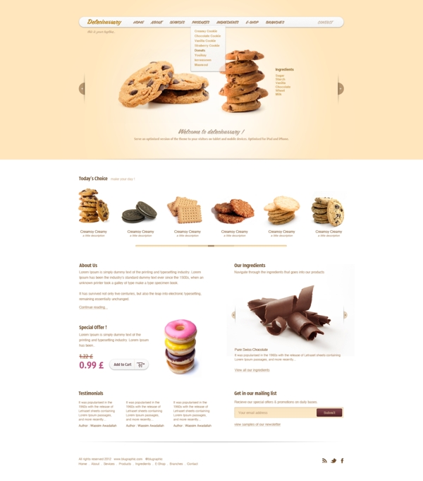 delicioussary饼干网站模板PSD