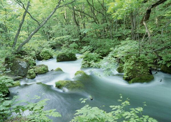 高山流水绿树景色图片