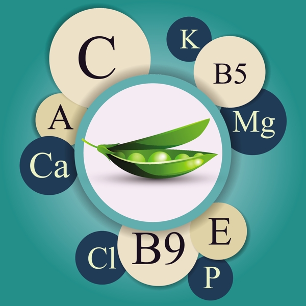 蔬菜维生元素信息图表