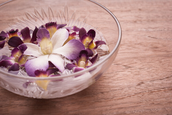 碗里面的紫色花朵图片