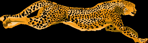 leopardcheetah