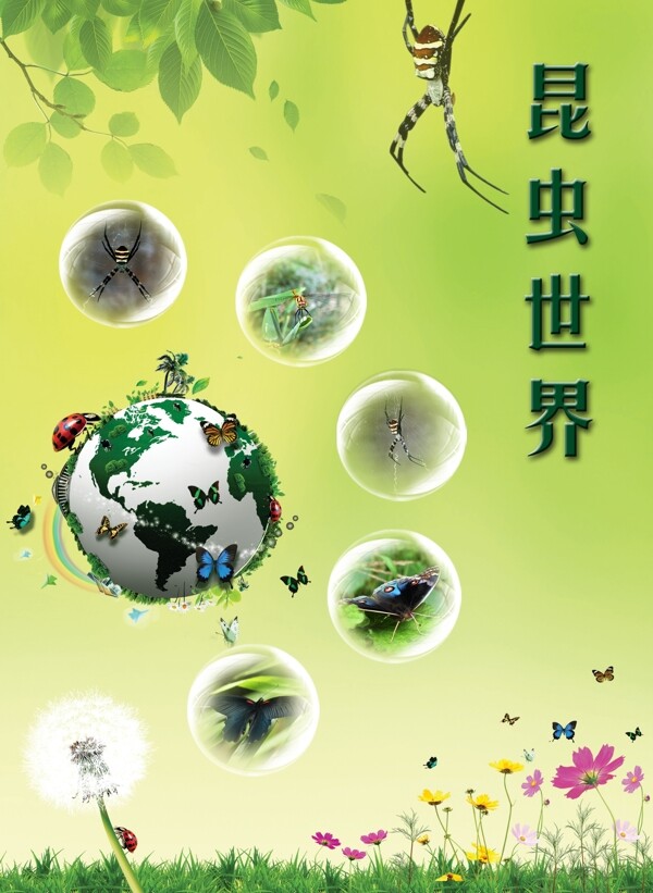昆虫世界封面海报图片