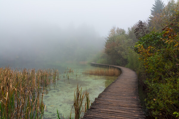 湖泊木桥走廊风景图片