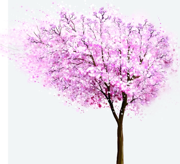 分层樱花树