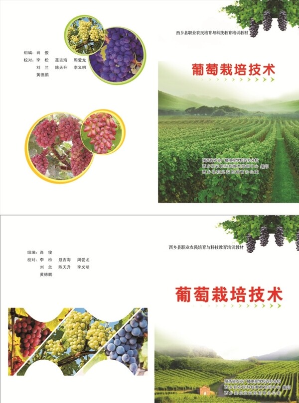 葡萄栽培技术封面