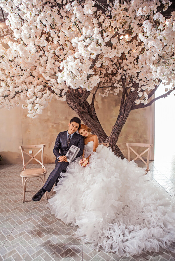 鲜花树下的婚纱情侣图片