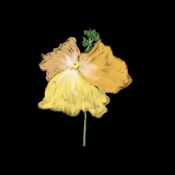 黄色简约鲜花花朵绘画